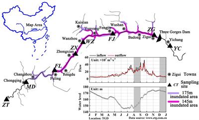 Occurrence and Distribution of Tetracycline Antibiotics and Resistance Genes in Longshore Sediments of the Three Gorges Reservoir, China